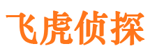 三山市私人调查